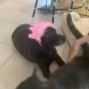 Meet your Posher, Terry